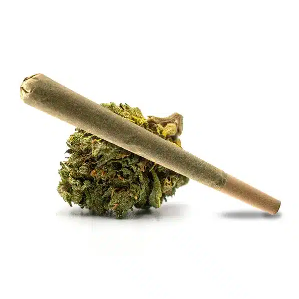 Runtz Strain Preroll