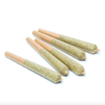 OG Kush Strain Preroll