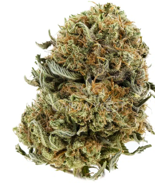 Alaskan Thunder Fuck Weed Strain