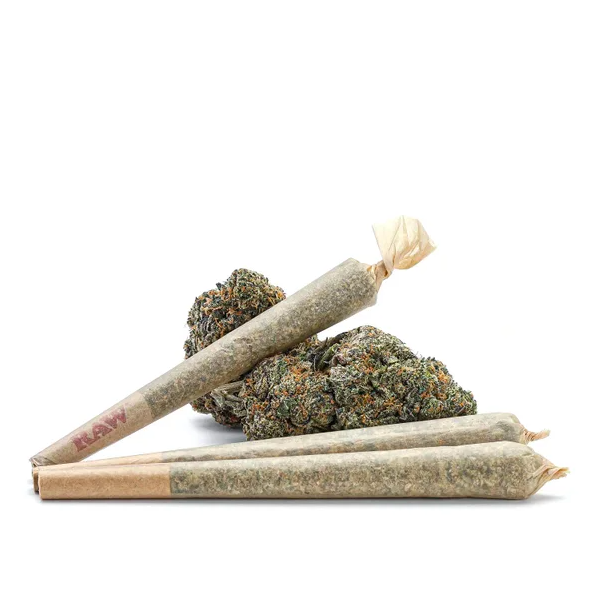 White Widow Strain Preroll White Widow Strain Preroll