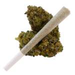 Lemon Cherry Gelato Strain Preroll