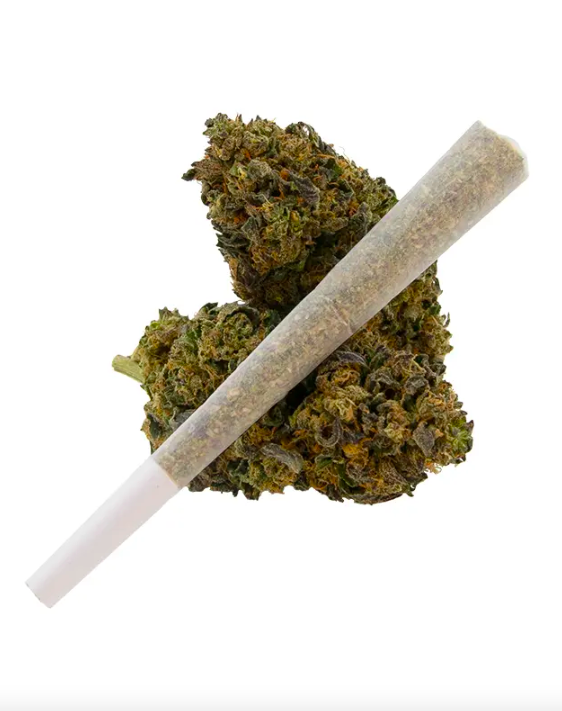 Lemon Cherry Gelato Strain Preroll