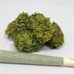 OG Strain Preroll